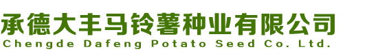 薯光农业
