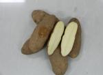 布尔班克1